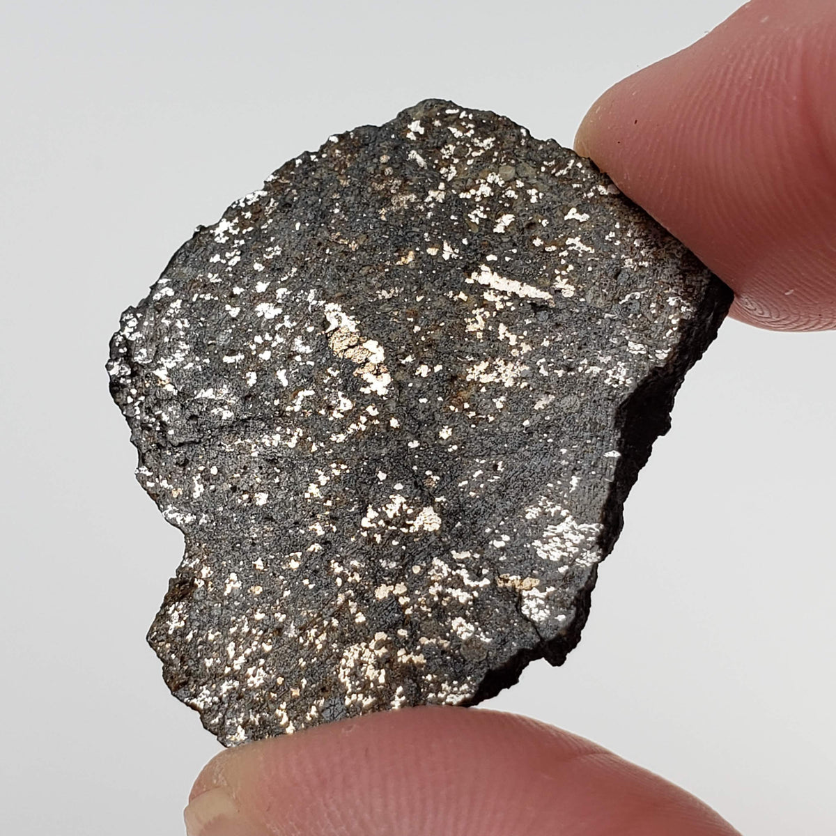  Thuathe Meteorite | 8.29 gr | Full Slice | H4-5 Chondrite | Observed Fall | Lesotho 3