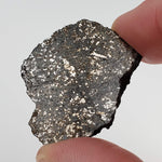  Thuathe Meteorite | 8.29 gr | Full Slice | H4-5 Chondrite | Observed Fall | Lesotho 3