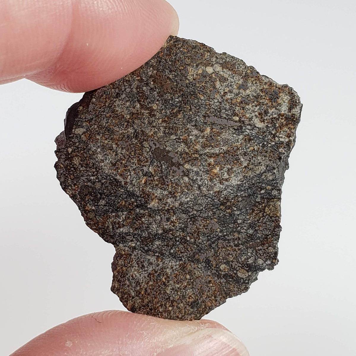 Thuathe Meteorite | 8.29 gr | Full Slice | H4-5 Chondrite | Observed Fall | Lesotho 2