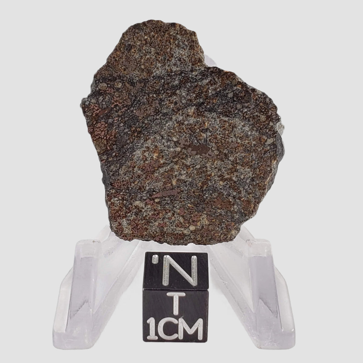  Thuathe Meteorite | 8.29 gr | Full Slice | H4-5 Chondrite | Observed Fall | Lesotho 