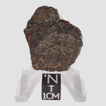  Thuathe Meteorite | 8.29 gr | Full Slice | H4-5 Chondrite | Observed Fall | Lesotho 