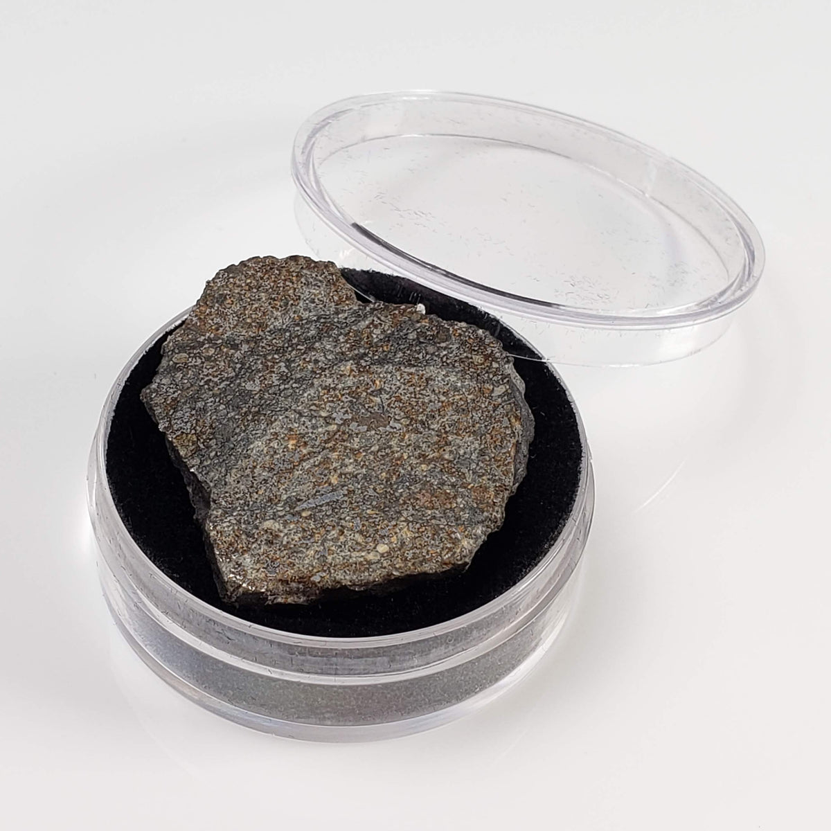  Thuathe Meteorite | 8.29 gr | Full Slice | H4-5 Chondrite | Observed Fall | Lesotho 7