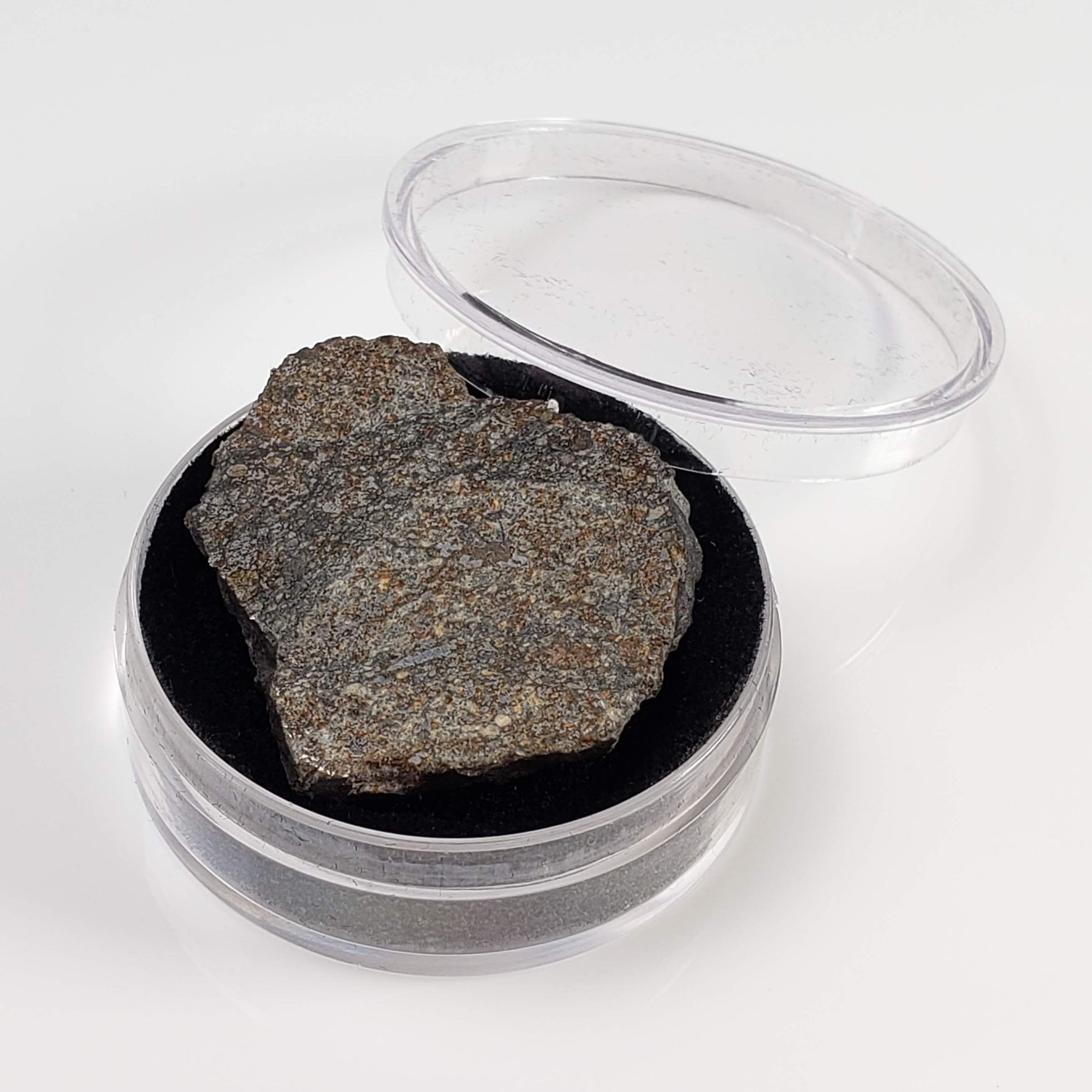  Thuathe Meteorite | 8.29 gr | Full Slice | H4-5 Chondrite | Observed Fall | Lesotho 7