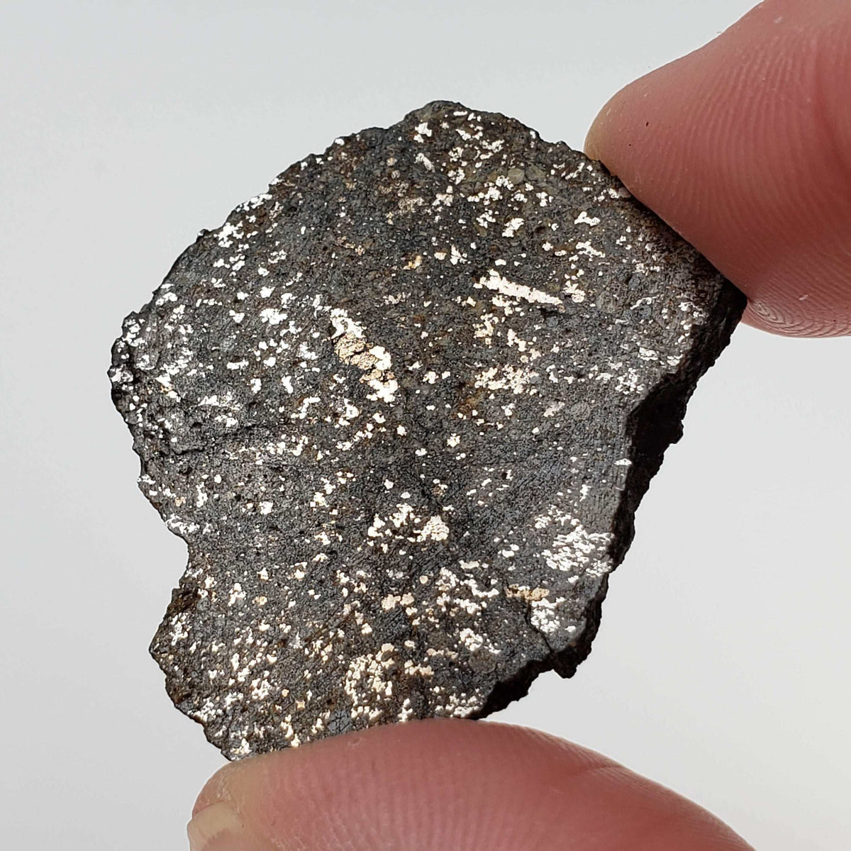  Thuathe Meteorite | 8.29 gr | Full Slice | H4-5 Chondrite | Observed Fall | Lesotho 3