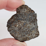  Thuathe Meteorite | 8.29 gr | Full Slice | H4-5 Chondrite | Observed Fall | Lesotho 4