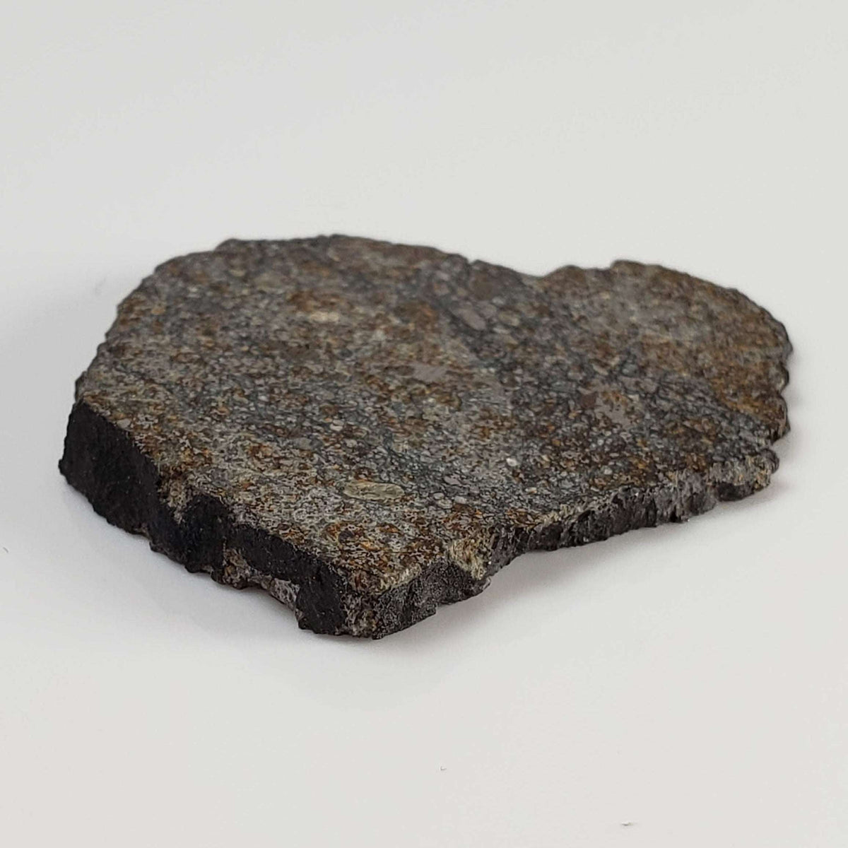  Thuathe Meteorite | 8.29 gr | Full Slice | H4-5 Chondrite | Observed Fall | Lesotho 6