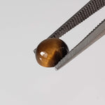 Tigers Eye | 10 Piece Gemstone Lot  Round Cabochon | Golden Brown | 10.1tcw 4