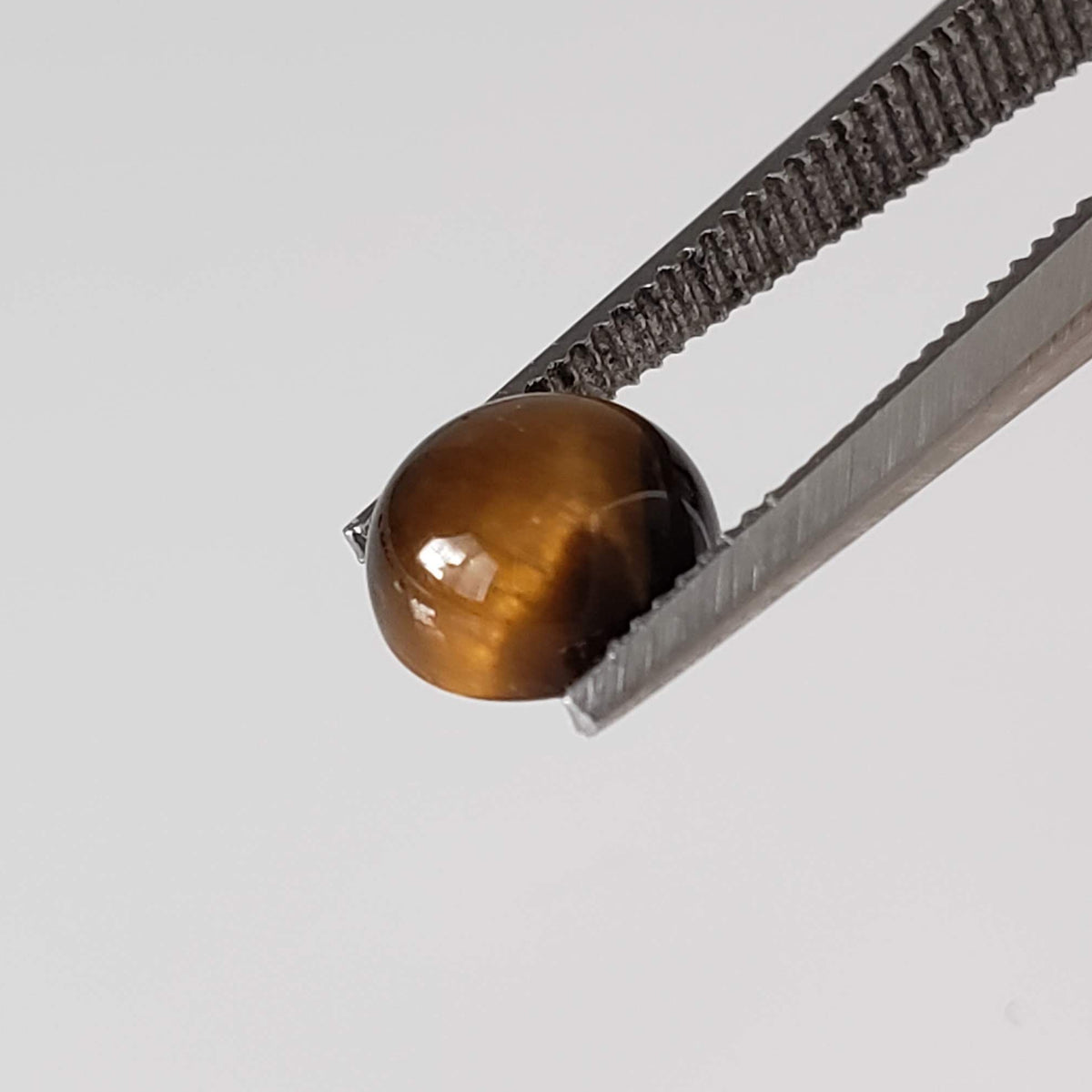 Tigers Eye | 10 Piece Gemstone Lot  Round Cabochon | Golden Brown | 10.1tcw 4