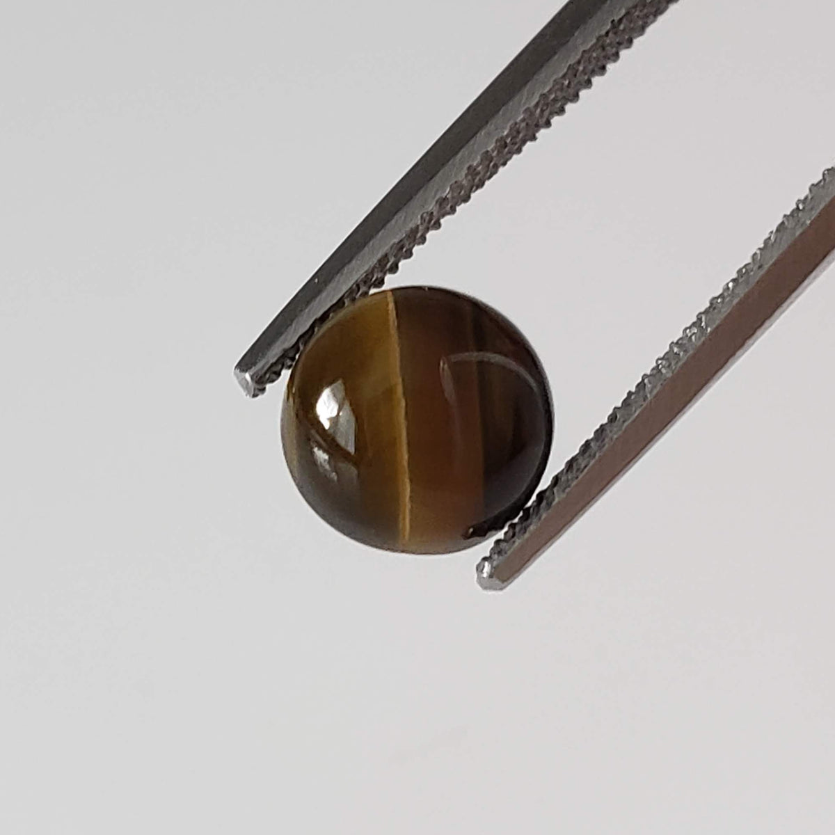 Tigers Eye | 10 Piece Gemstone Lot  Round Cabochon | Golden Brown | 10.1tcw 5