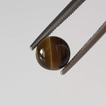 Tigers Eye | 10 Piece Gemstone Lot  Round Cabochon | Golden Brown | 10.1tcw 5