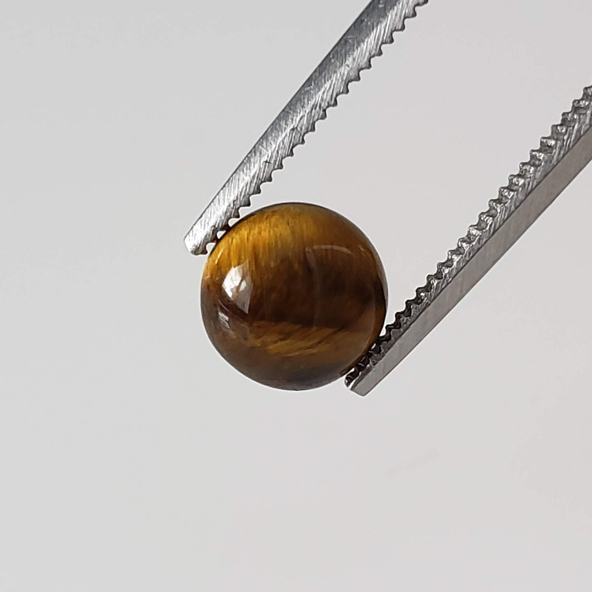 Tigers Eye | 10 Piece Gemstone Lot  Round Cabochon | Golden Brown | 10.1tcw 6