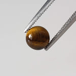 Tigers Eye | 10 Piece Gemstone Lot  Round Cabochon | Golden Brown | 10.1tcw 6