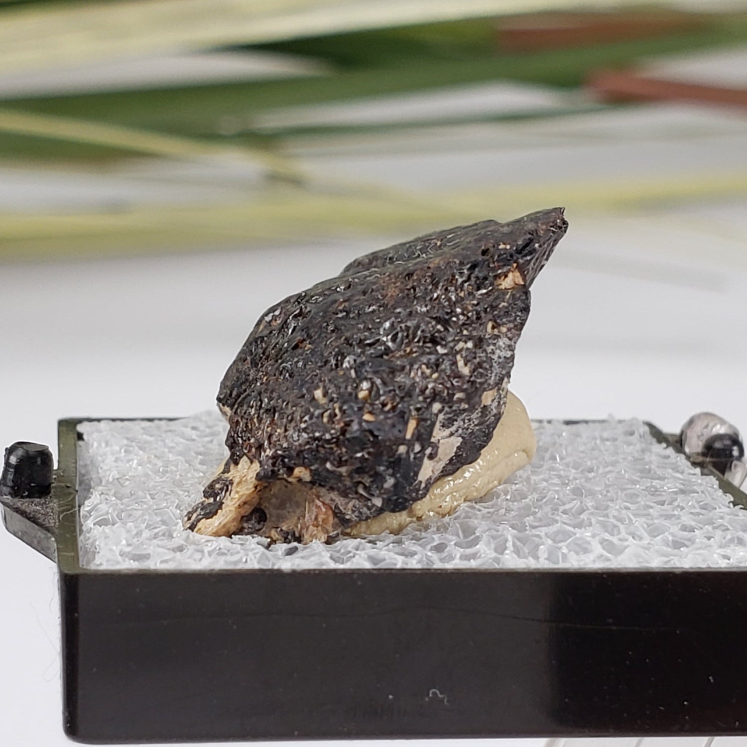  Titanite  var. Sphene | Perky Box Thumbnail Specimen | Bancroft, Ontario, Canada 1