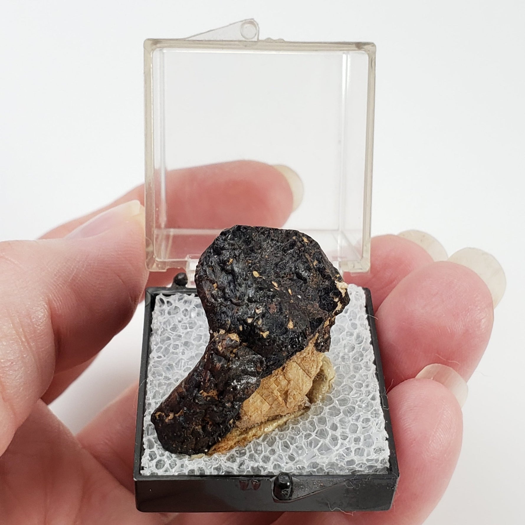  Titanite var. Sphene | Perky Box Thumbnail Specimen | Famous Bancroft, Ontario, Canada 4