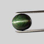  Tourmaline Cats Eye  | Oval Cabochon | Forest Green | 15.3x13.1mm 14.46ct 