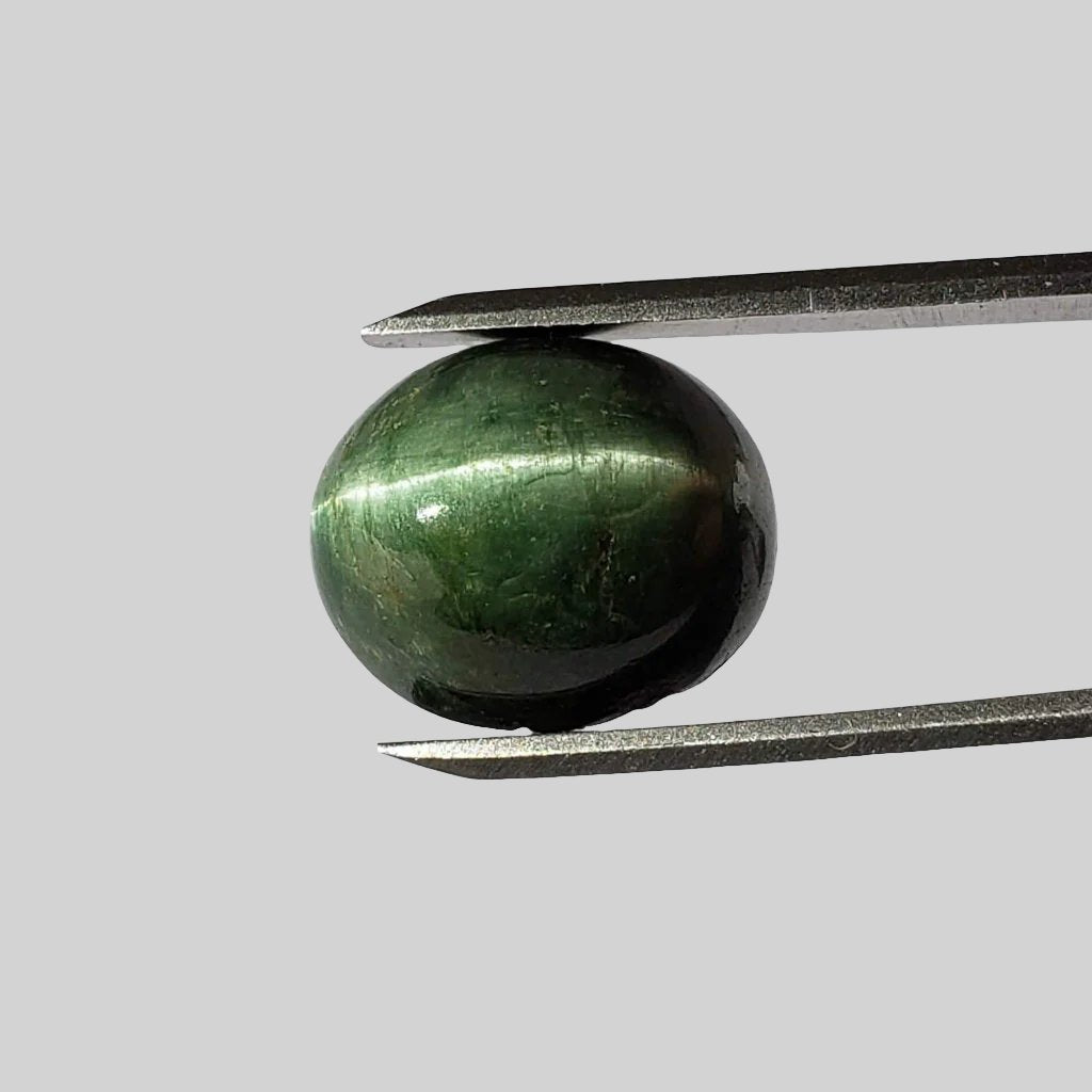  Tourmaline Cats Eye  | Oval Cabochon | Forest Green | 15.3x13.1mm 14.46ct 1