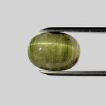  Tourmaline Cats Eye | Oval Cabochon | Light Green | 15.5x11.5mm 11.56ct 1