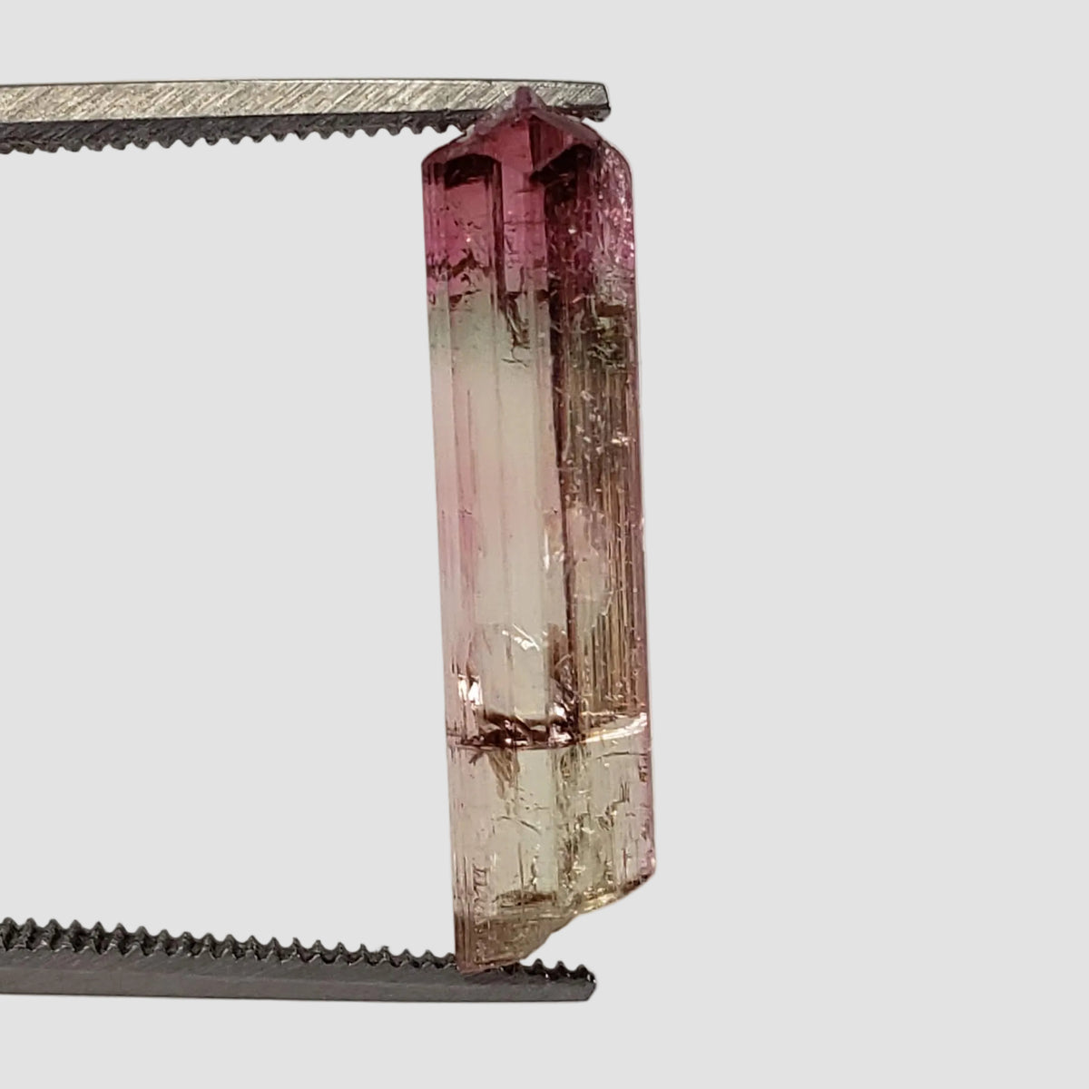 Tourmaline Crystal | Tri-Color | Perky Box Specimen | Coronel Murta, Minas Gerais, Brazil-canagem-0