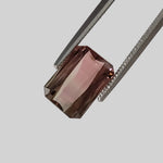 Tourmaline | Octagon Cut | Bi-Color Pink Green | 10x7mm 2.98ct