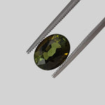  Tourmaline | Oval Cut | Forest Green | 9.5x7.5mm 2.68ct 1