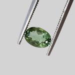 Tourmaline | Oval Cut | Green | 7x5mm 0.76ct 1