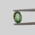 Tourmaline | Oval Cut | Green | 7x5mm 0.76ct 0