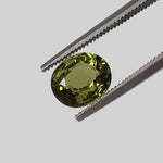  Tourmaline | Oval Cut | Lime Green | 7.5x6.5mm 1.55ct 1