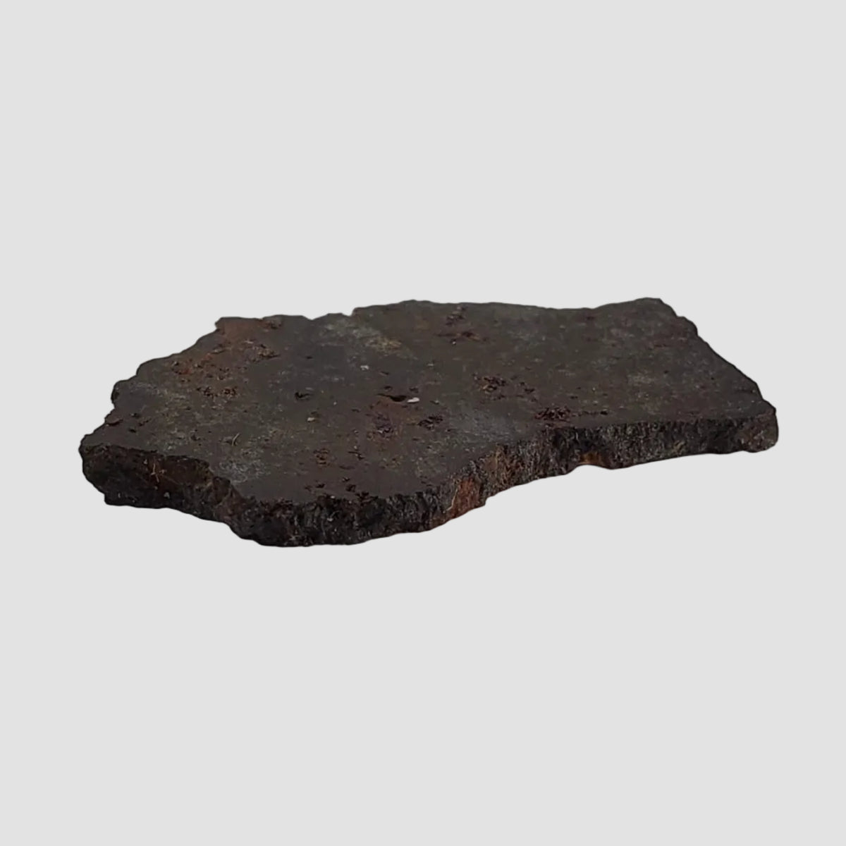  Tsarev Meteorite | 1.49 Grams | Slice | L5 Chondrite | Fell Dec 1922 | Volgograd Region, Russia 4