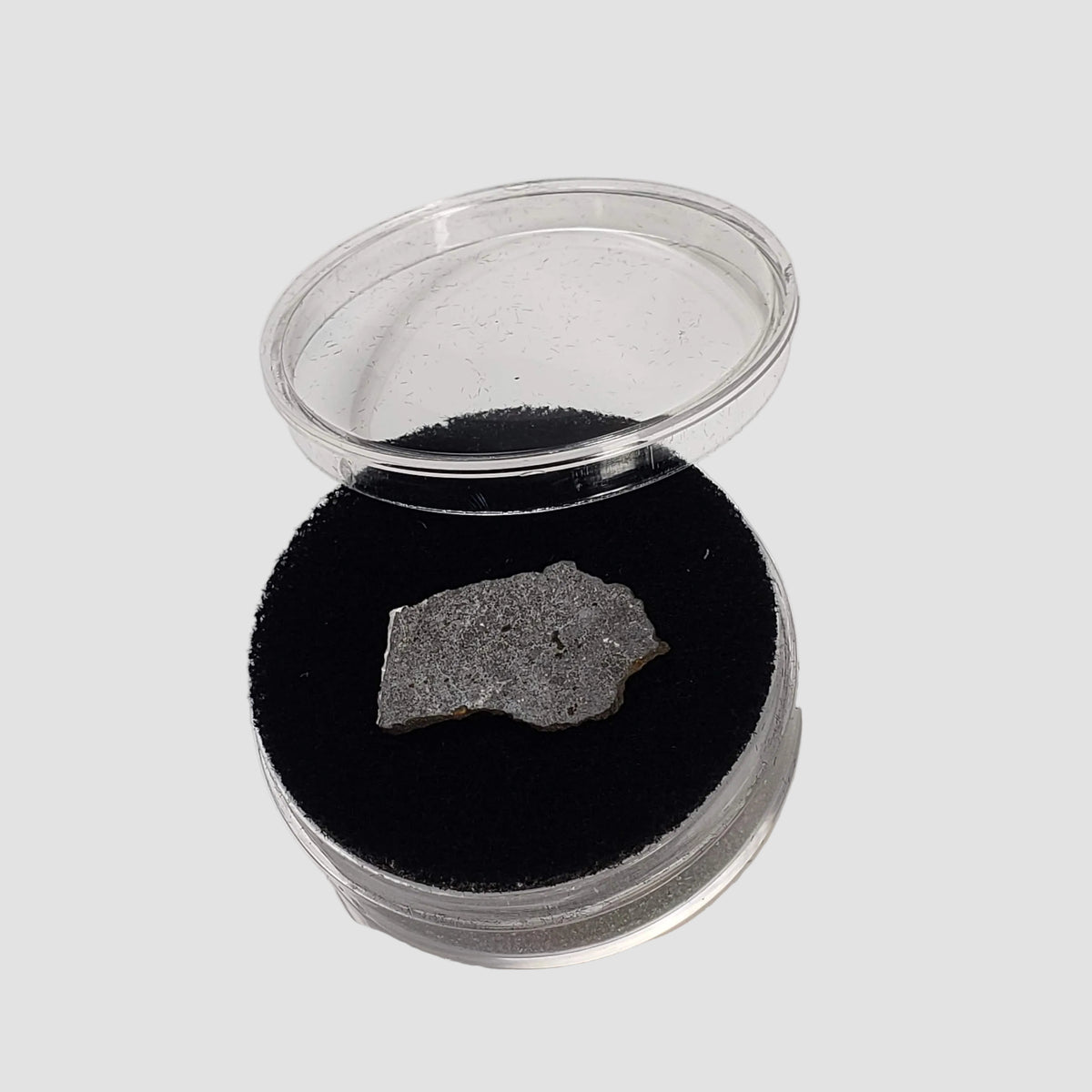  Tsarev Meteorite | 1.49 Grams | Slice | L5 Chondrite | Fell Dec 1922 | Volgograd Region, Russia 6