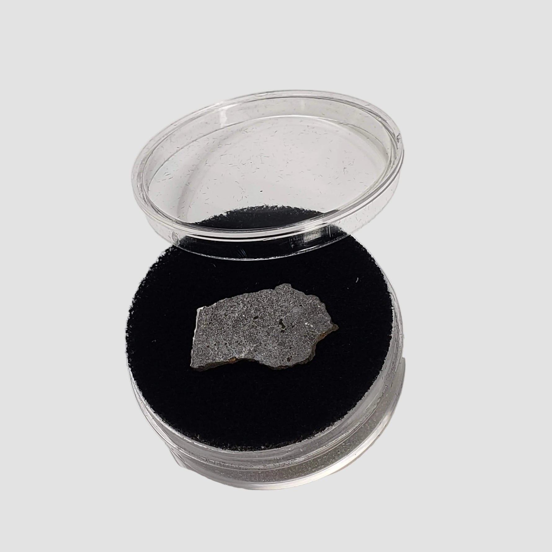  Tsarev Meteorite | 1.49 Grams | Slice | L5 Chondrite | Fell Dec 1922 | Volgograd Region, Russia 6