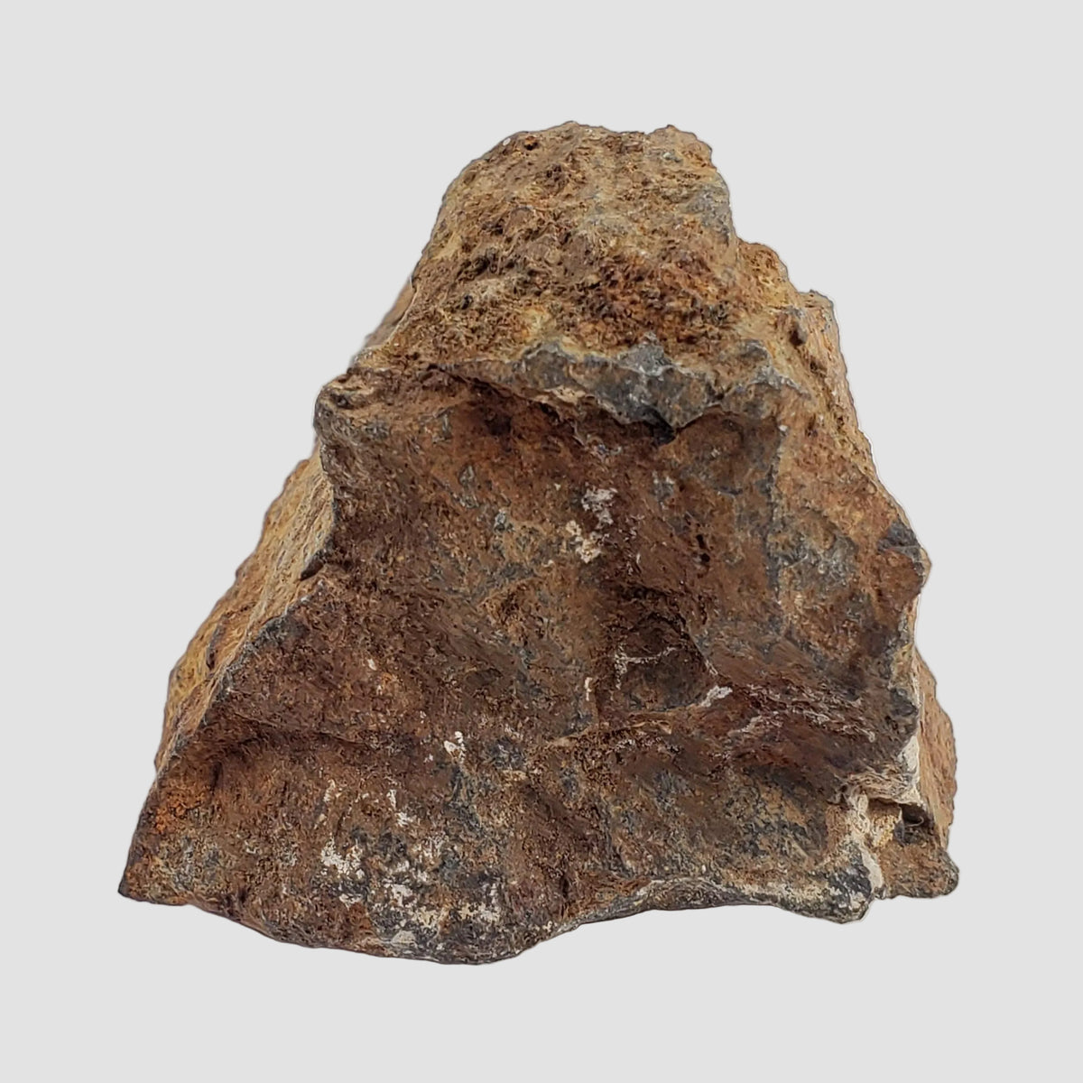 Tsarev Meteorite | 122.9 Grams | Individual | L5 Chondrite | Fell Dec 1922 | Volgograd Region, Russia 2