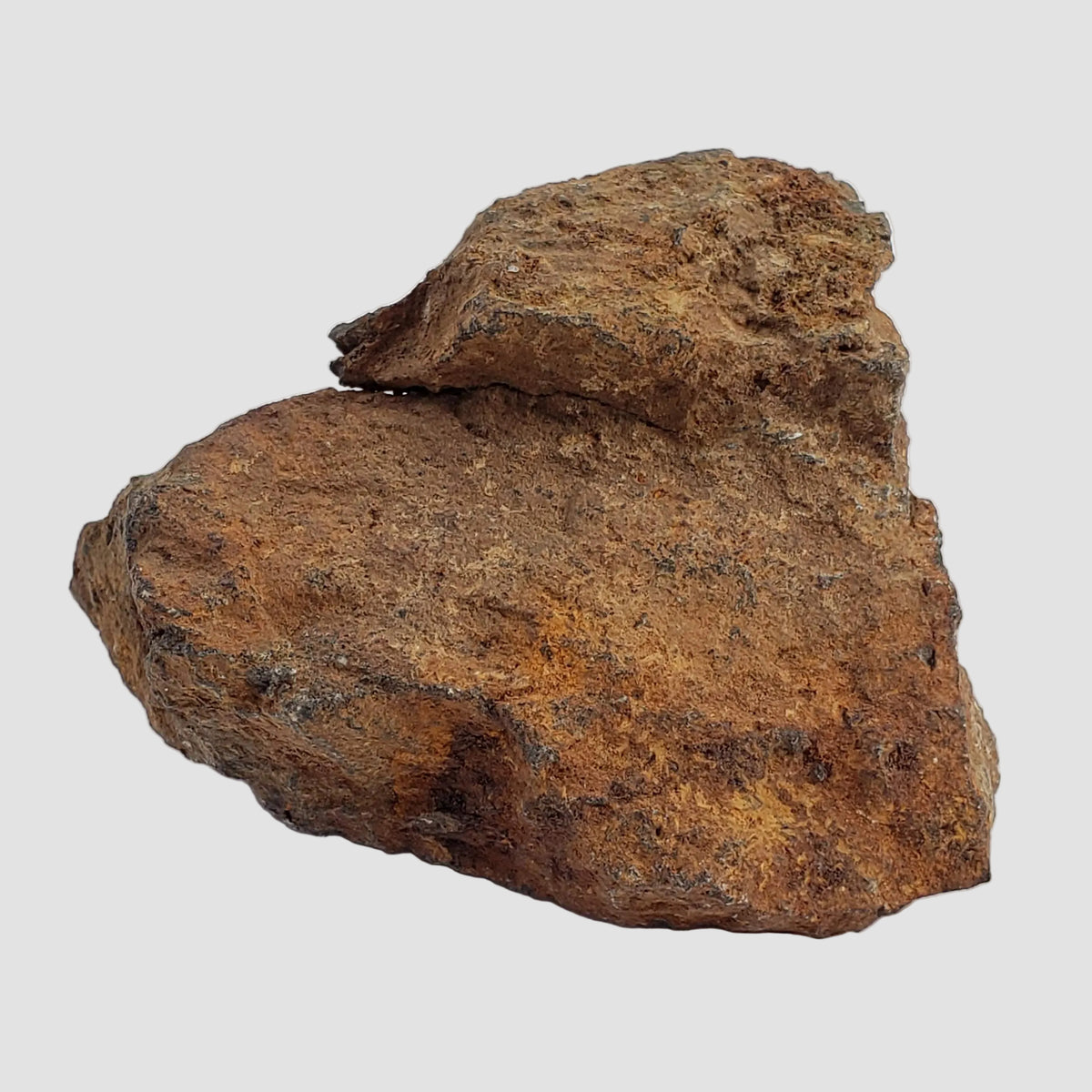 Tsarev Meteorite | 122.9 Grams | Individual | L5 Chondrite | Fell Dec 1922 | Volgograd Region, Russia 3