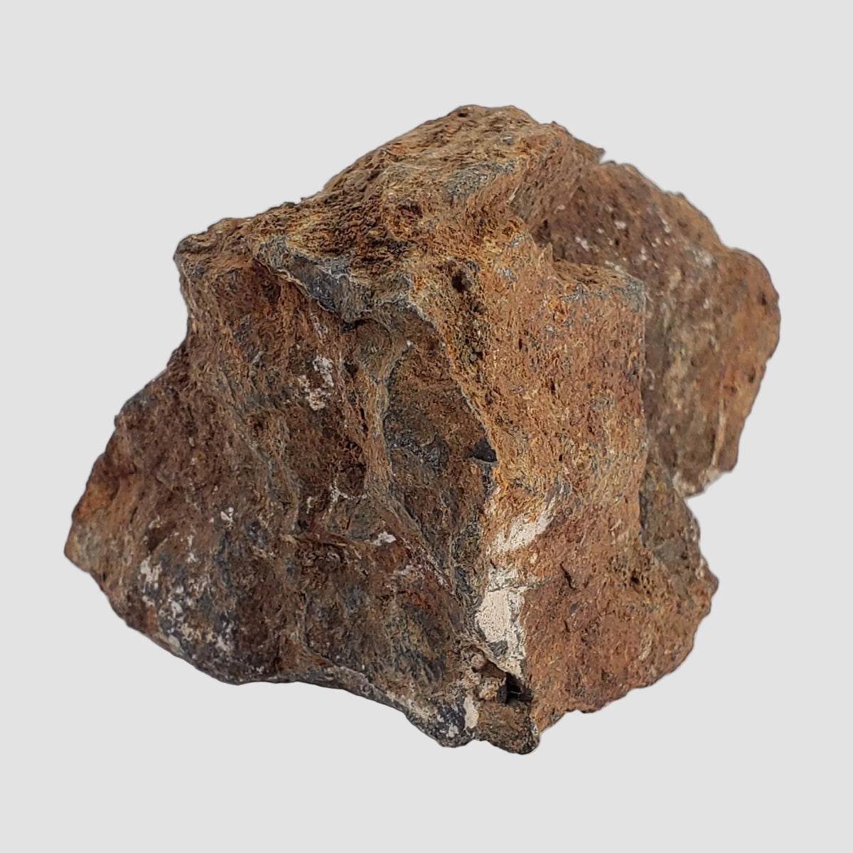 Tsarev Meteorite | 122.9 Grams | Individual | L5 Chondrite | Fell Dec 1922 | Volgograd Region, Russia 4