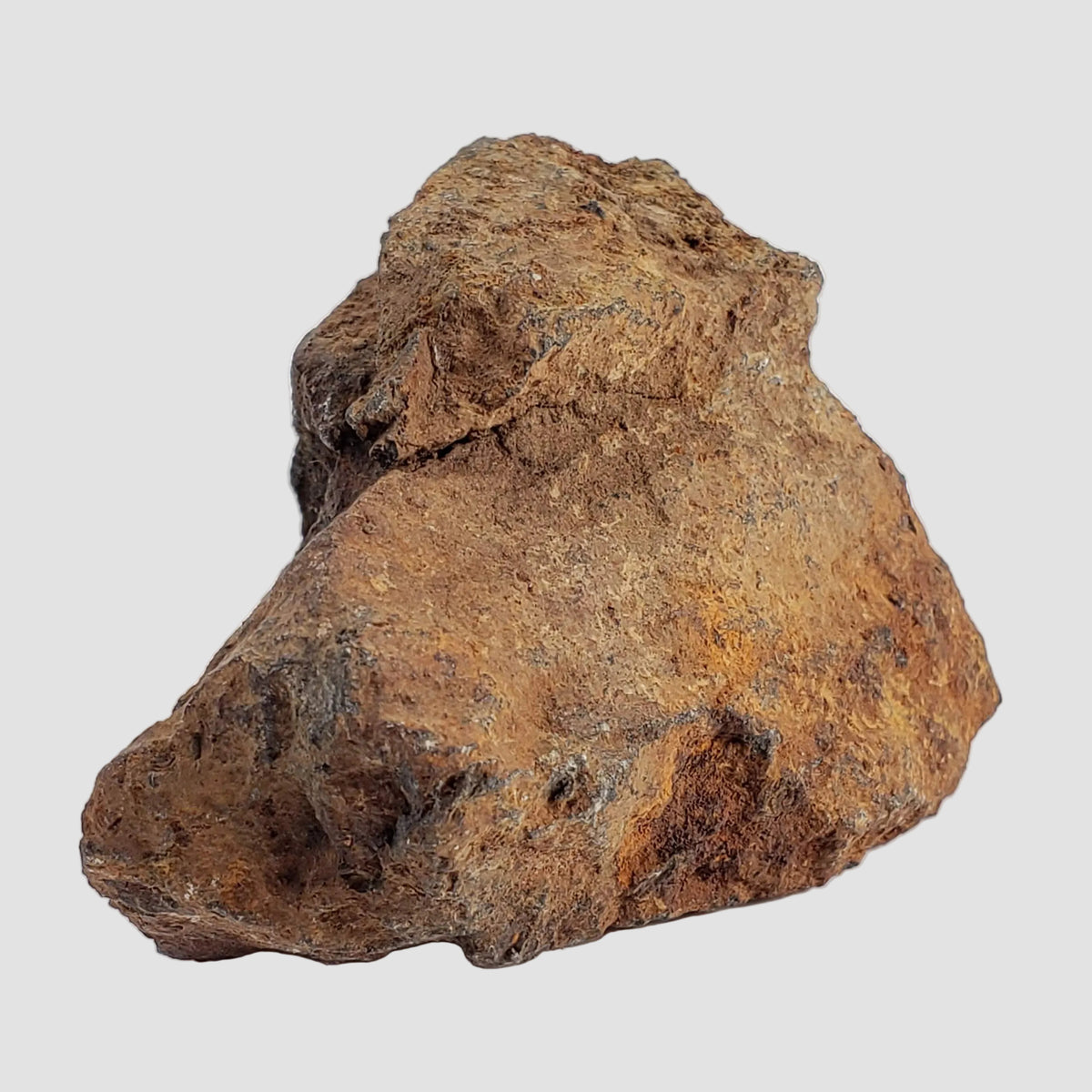 Tsarev Meteorite | 122.9 Grams | Individual | L5 Chondrite | Fell Dec 1922 | Volgograd Region, Russia 5