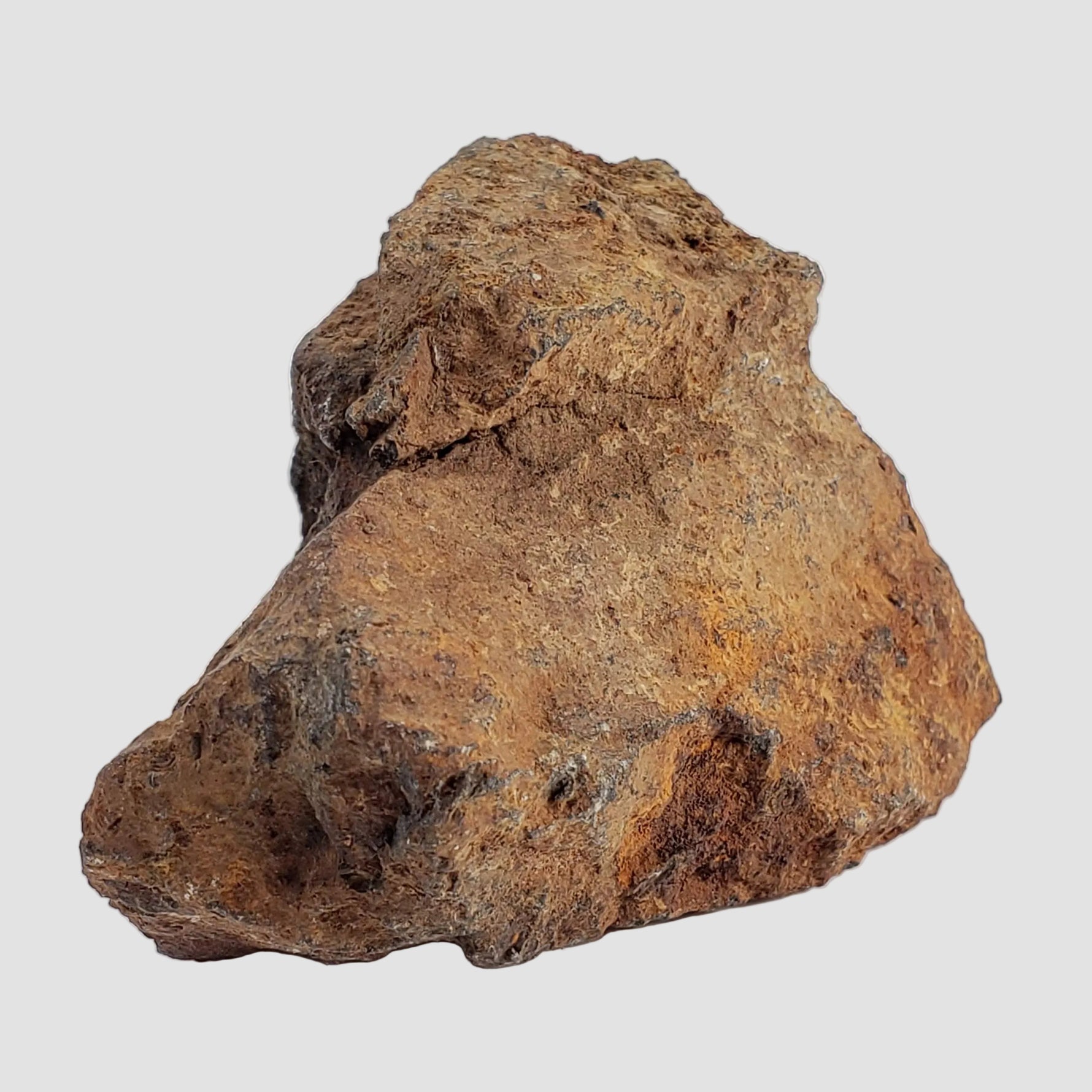 Tsarev Meteorite | 122.9 Grams | Individual | L5 Chondrite | Fell Dec 1922 | Volgograd Region, Russia 5