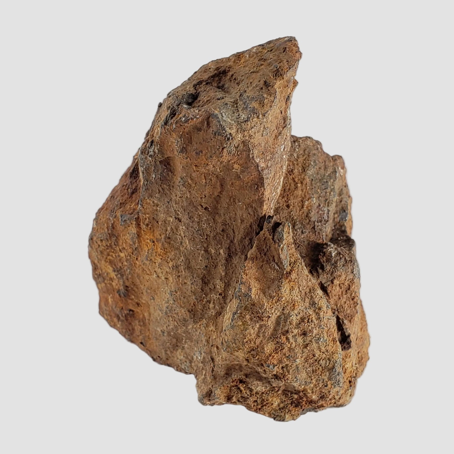 Tsarev Meteorite | 122.9 Grams | Individual | L5 Chondrite | Fell Dec 1922 | Volgograd Region, Russia 7