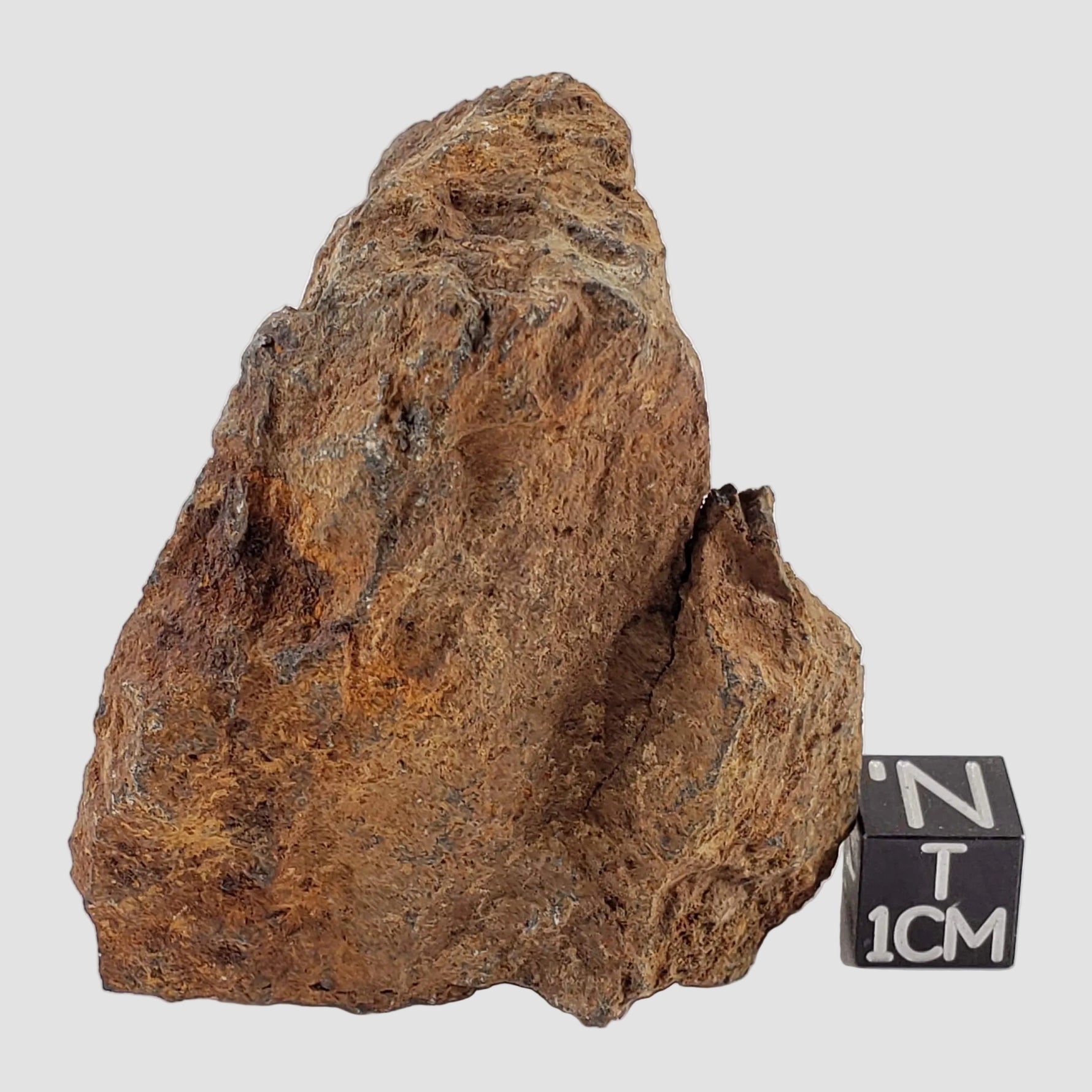 Tsarev Meteorite | 122.9 Grams | Individual | L5 Chondrite | Fell Dec 1922 | Volgograd Region, Russia 0