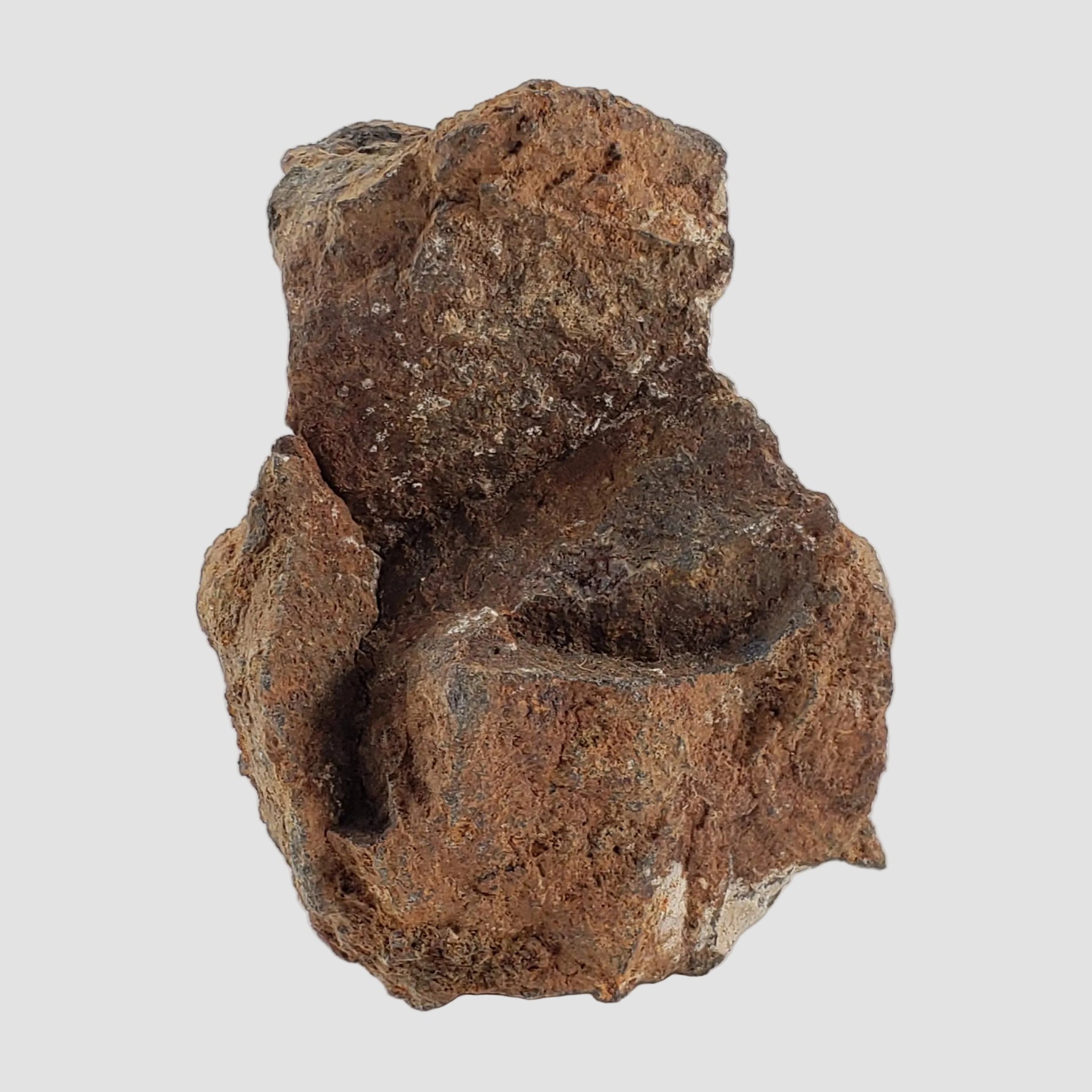 Tsarev Meteorite | 122.9 Grams | Individual | L5 Chondrite | Fell Dec 1922 | Volgograd Region, Russia 1