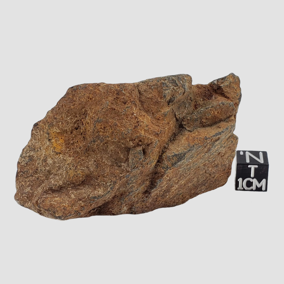  Tsarev Meteorite | 142.2 Grams | Individual | L5 Chondrite | Fell Dec 1922 | Volgograd Region, Russia 