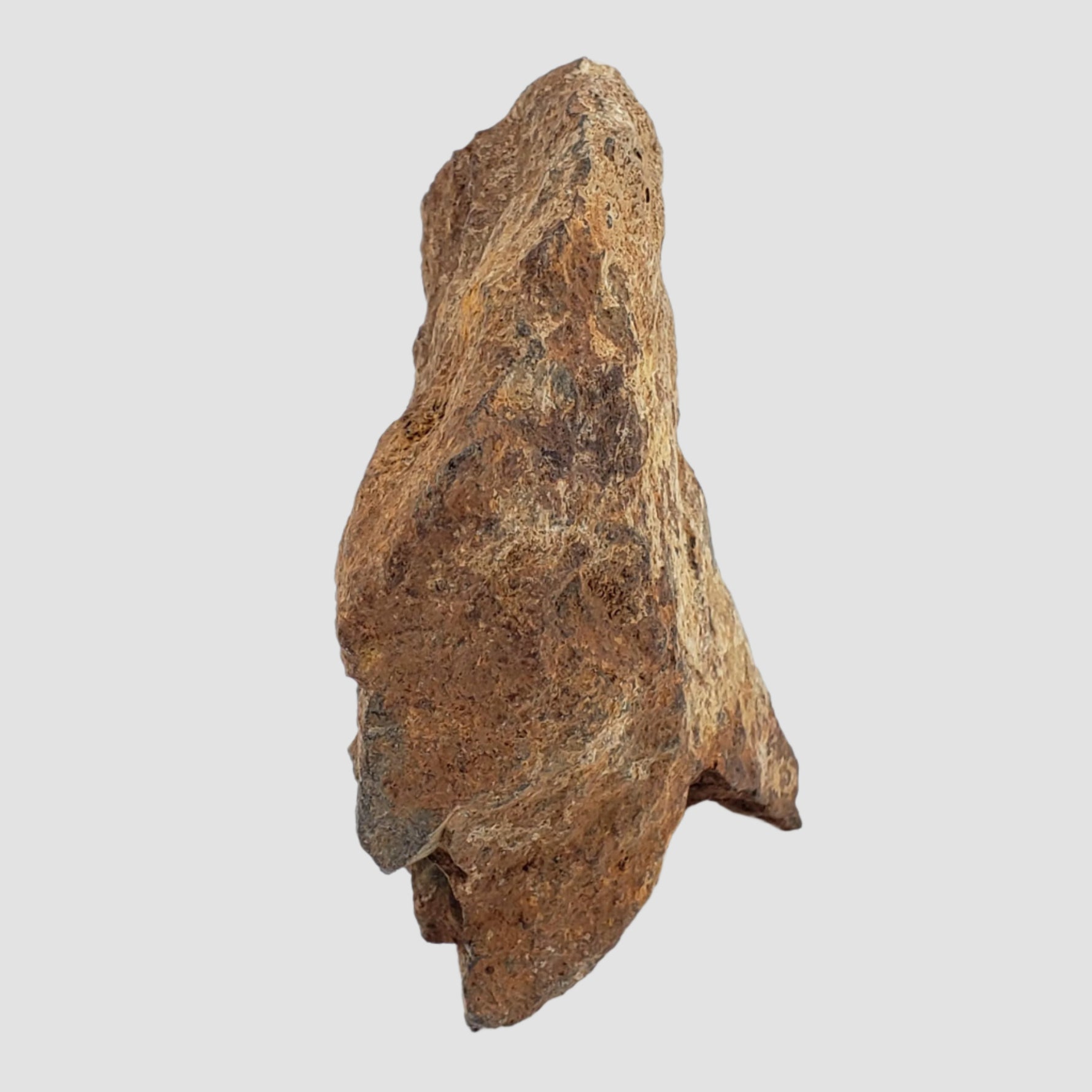  Tsarev Meteorite | 142.2 Grams | Individual | L5 Chondrite | Fell Dec 1922 | Volgograd Region, Russia 1