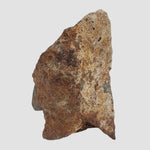  Tsarev Meteorite | 142.2 Grams | Individual | L5 Chondrite | Fell Dec 1922 | Volgograd Region, Russia 4