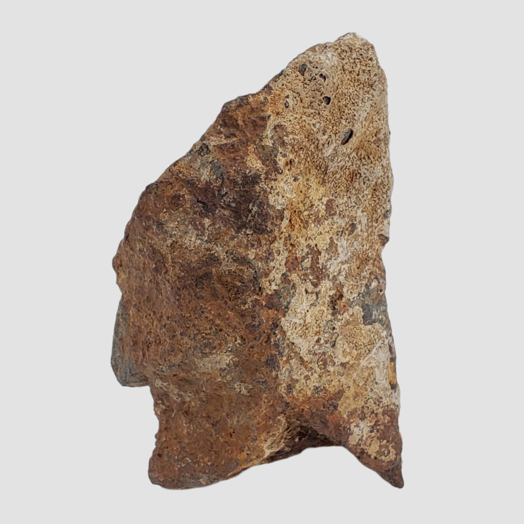  Tsarev Meteorite | 142.2 Grams | Individual | L5 Chondrite | Fell Dec 1922 | Volgograd Region, Russia 4