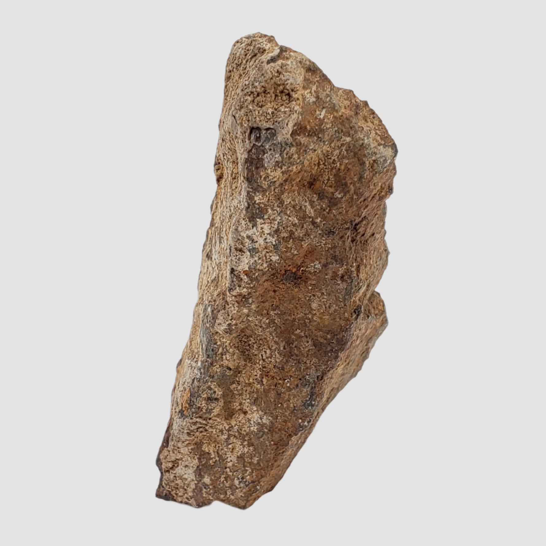  Tsarev Meteorite | 142.2 Grams | Individual | L5 Chondrite | Fell Dec 1922 | Volgograd Region, Russia 6