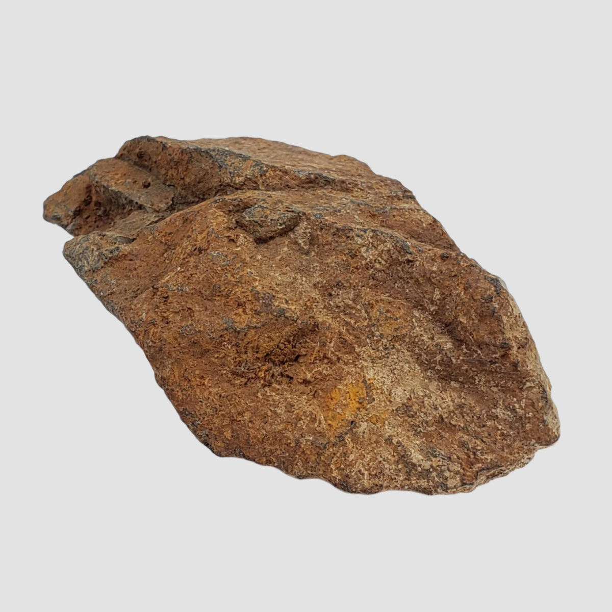  Tsarev Meteorite | 142.2 Grams | Individual | L5 Chondrite | Fell Dec 1922 | Volgograd Region, Russia 8