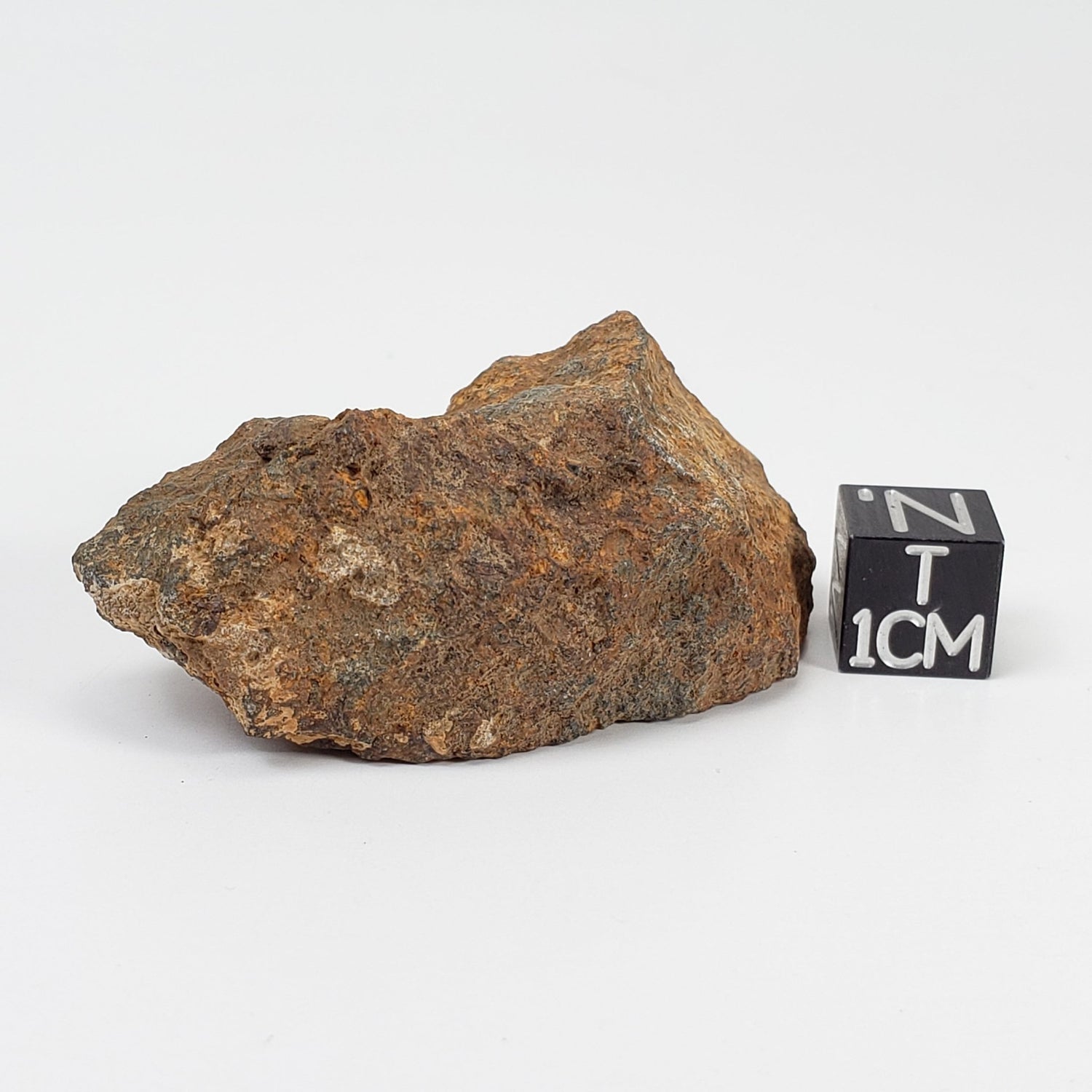  Tsarev Meteorite | 45.7 Grams | Individual | L5 Chondrite | Fell Dec 1922 | Volgograd Region, Russia 