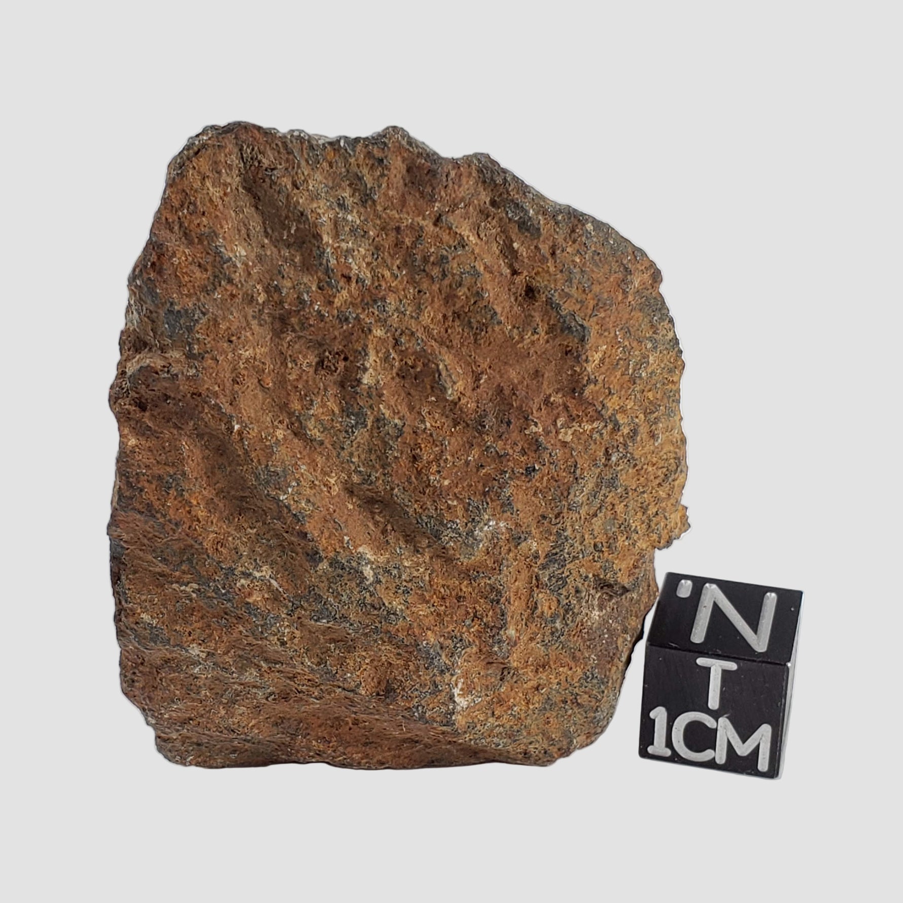  Tsarev Meteorite | 60.4 Grams | Individual | L5 Chondrite | Fell Dec 1922 | Volgograd Region, Russia 