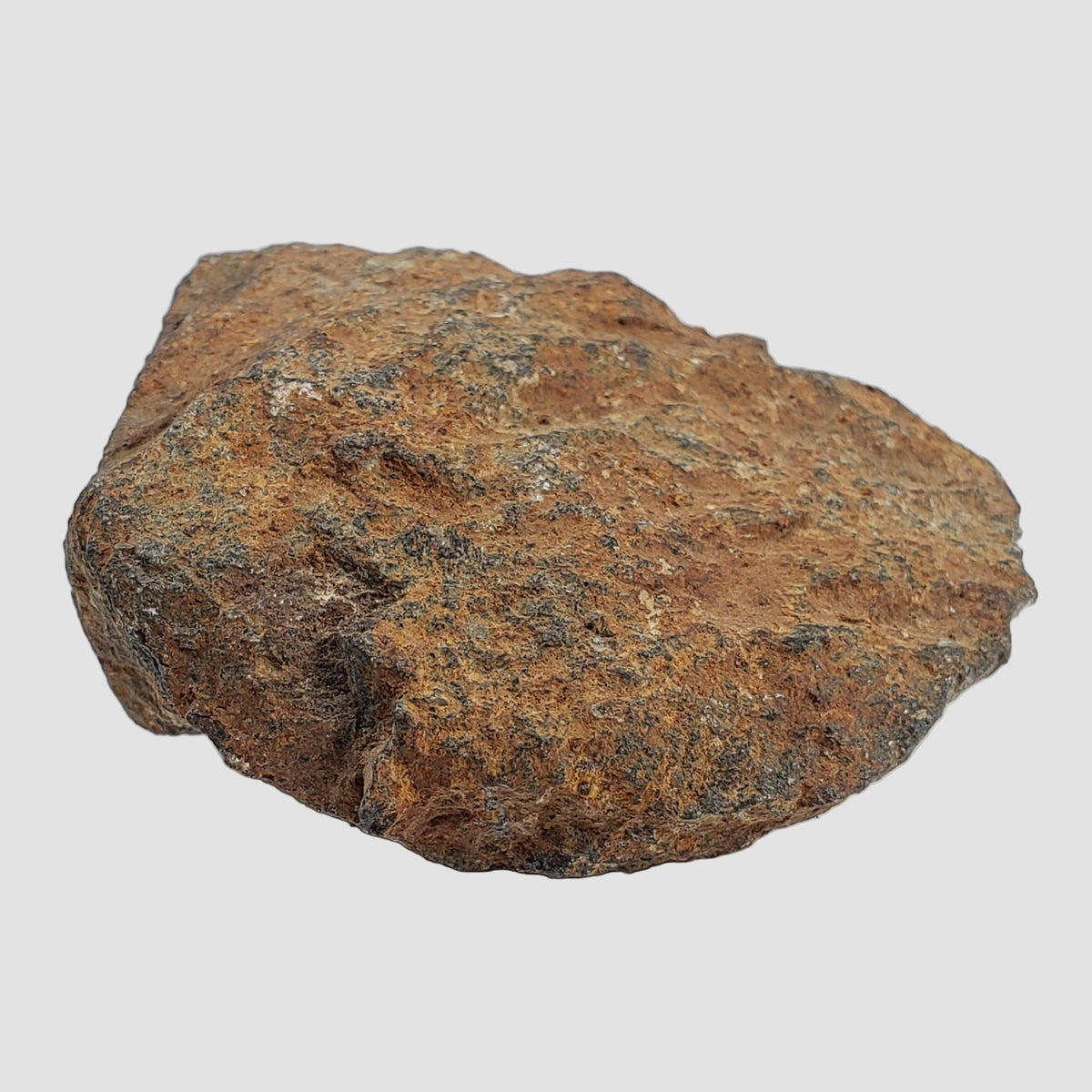  Tsarev Meteorite | 60.4 Grams | Individual | L5 Chondrite | Fell Dec 1922 | Volgograd Region, Russia 4