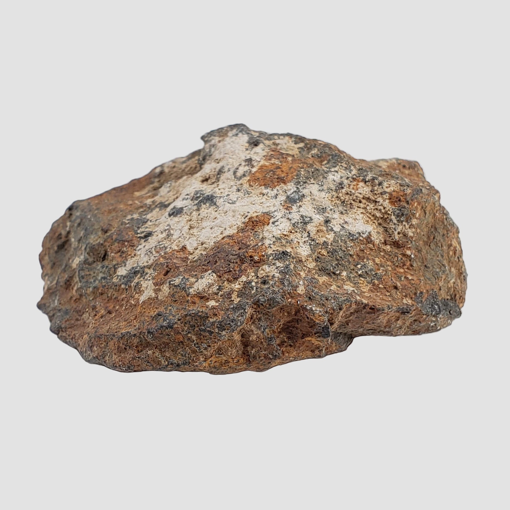  Tsarev Meteorite | 60.4 Grams | Individual | L5 Chondrite | Fell Dec 1922 | Volgograd Region, Russia 6