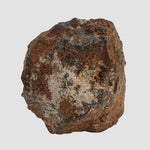  Tsarev Meteorite | 60.4 Grams | Individual | L5 Chondrite | Fell Dec 1922 | Volgograd Region, Russia 1