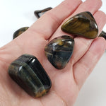  Tumbled Tigers Eye | Democratic Republic of the Congo, Africa 4